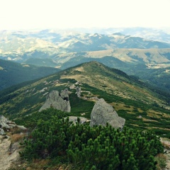 Вася Гаврилюк, Вижница