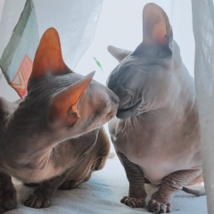 Оксана Белова, 07.01, Хабаровск