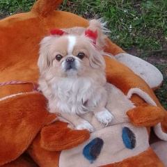Алевтина Сафина, Приютово