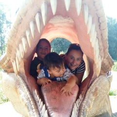 Ирина Дикая, Белгород