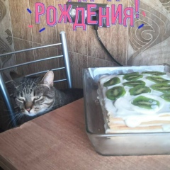 Илья Пронев, 28.09, Санкт-Петербург