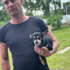 Павел Никитин, Москва