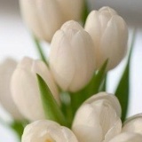 Нина Руднева, 13.03, Одесса