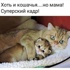 Евгений Гришин, 07.06.1991, Екатеринбург