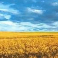 Олена Володимирська, Киев