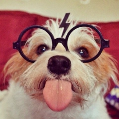 Ирина Koshka, 15.05, Киев